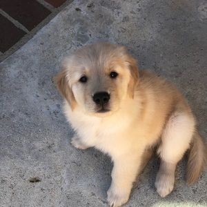 Meet your Posher, Nicholette